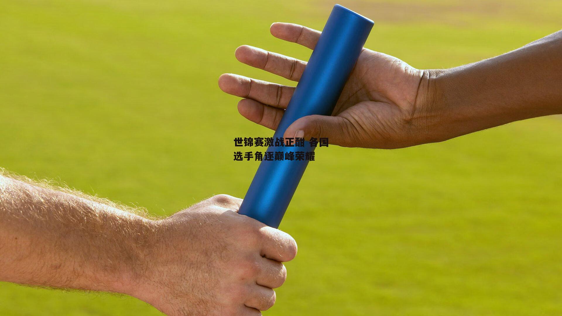 世锦赛激战正酣 各国选手角逐巅峰荣耀